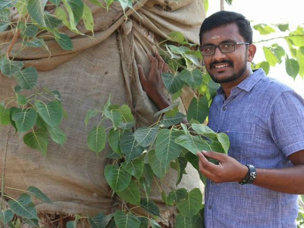 பசுமை விழிப்புணர்வு