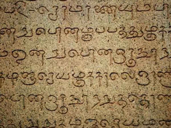 பூர்வீகத்தை கணிக்க முடியவில்லை