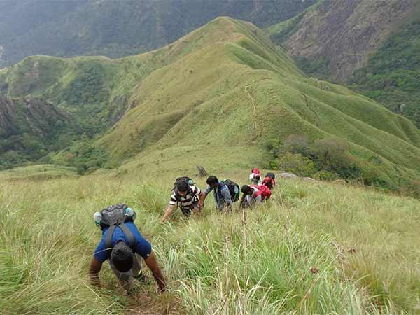 Kerala ban trekking visit at western ghats Kerala ban trekking visit at western ghats