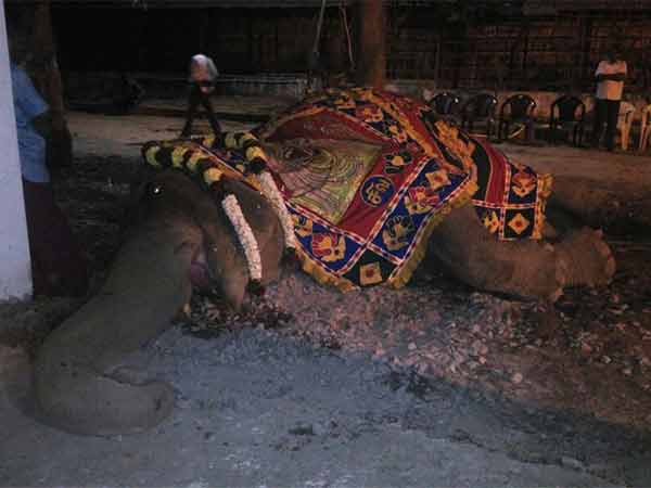 நள்ளிரவில் உயிரிழப்பு