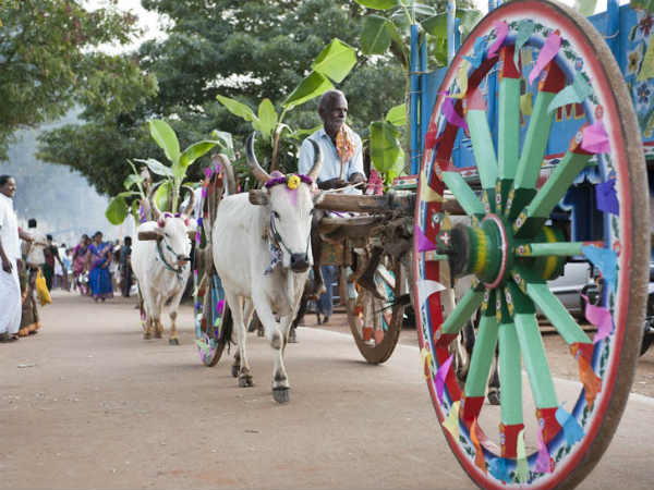 Scam Probe Rises In Trichy Farmers estival Scam Probe Rises In Trichy Farmers estival