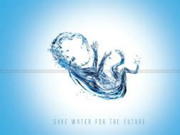 Natures Warning On World Water Day Natures Warning On World Water Day