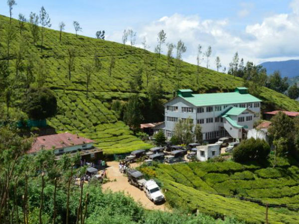 ஆங்கிலேயர் காலத்து தேயிலைகள்