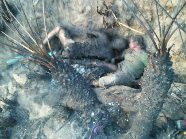 மேலும் 2 பேர் பலி