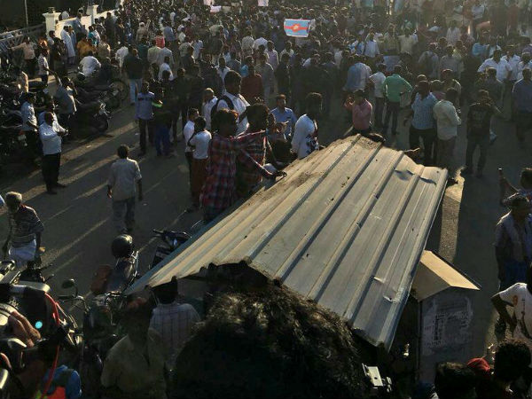 Jallikattu and IPl protest Jallikattu and IPl protest