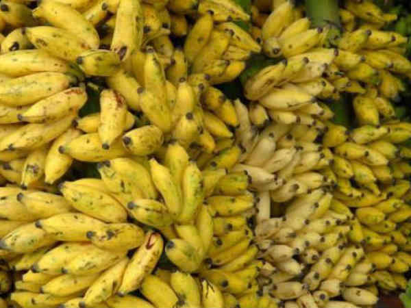 தமிழ்நாடு முதலிடம்
