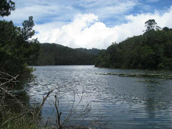 Forest Dept. ban to go to Berijam lake Forest Dept. ban to go to Berijam lake