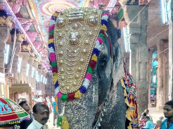 பூப்பல்லக்கில் பவனி