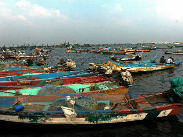 Fishing ban period begins in TN Coastal Fishing ban period begins in TN Coastal