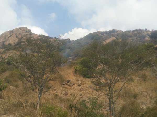 Forest fire in Parvatha mountain at Thiruvannamalai Forest fire in Parvatha mountain at Thiruvannamalai