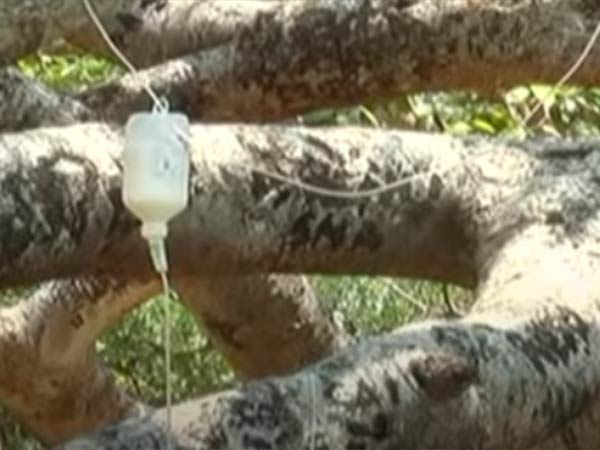 கேள்வி கேட்கவில்லை