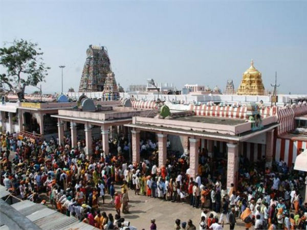 Image result for palani murugan kovil