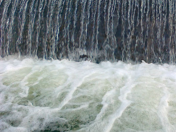 water inflow increased in nellai dams water inflow increased in nellai dams