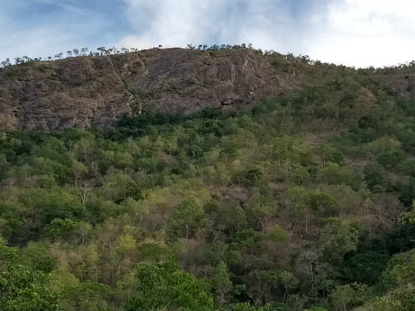Forest fire happens in Sathuragiri Forest fire happens in Sathuragiri