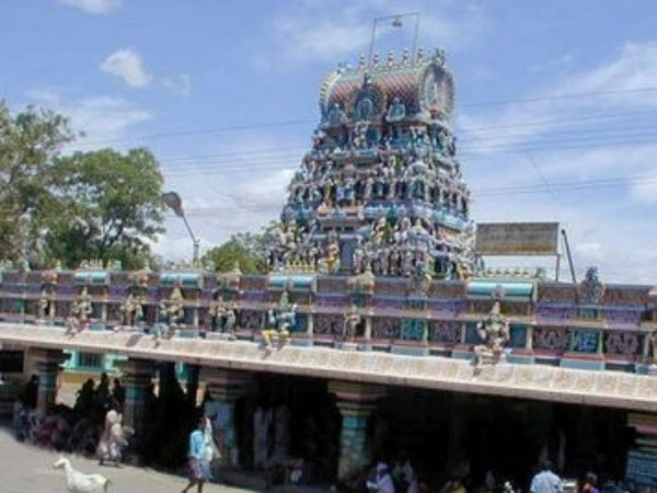 Pannari Amman Temple Festival in Sathiyamangalam Pannari Amman Temple Festival in Sathiyamangalam