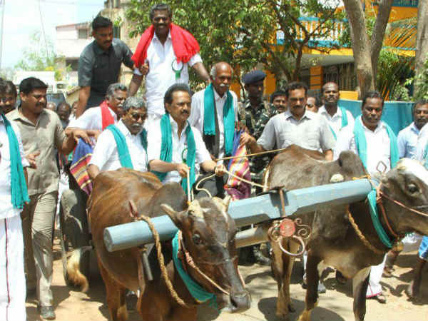 மாட்டு வண்டியில் பயணம்