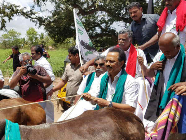 நாடகம் நடத்துகிறார்கள்