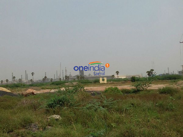 ஆய்வுகள் கூறுவது என்ன