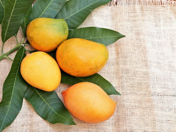 மருத்துவரின் ஆலோசனை