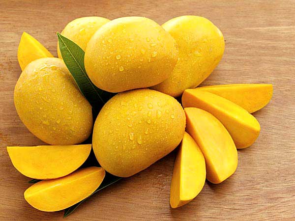 நோய் எதிர்ப்பு சக்தி