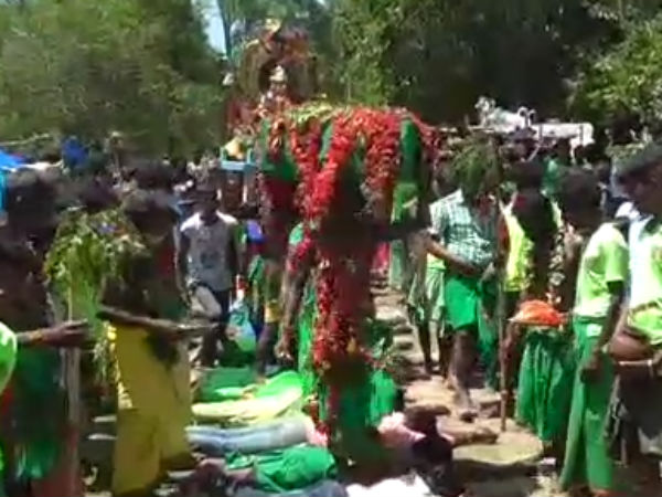 Forest Fairy Festival near Bargur Forest Fairy Festival near Bargur