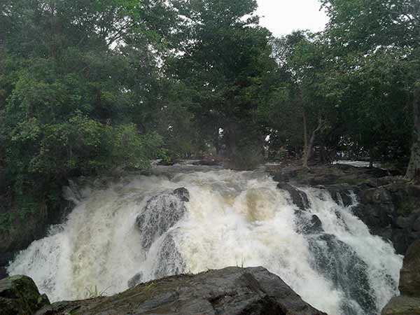 இன்று விசாரணை