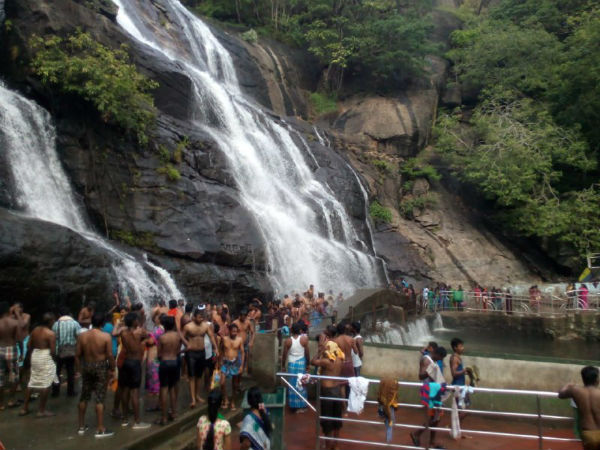 Tourists allowed to take bath now in Coutrallam, Tourists allowed to take bath now in Coutrallam,