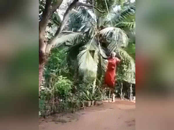 வைரல் வீடியோ