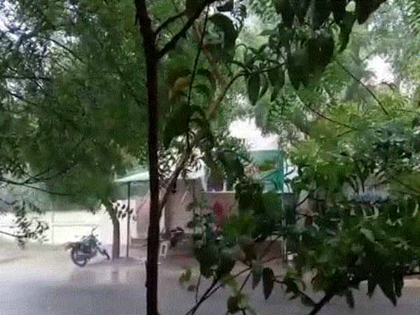 பலத்த காற்றுடன் மழை