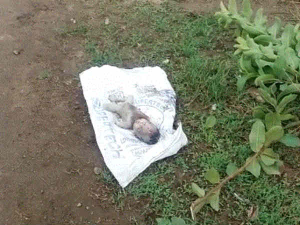 orn Baby dead near Karur orn Baby dead near Karur