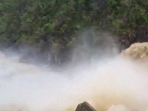 Dam owned by Indian origin farmer bursts in Kenya Dam owned by Indian origin farmer bursts in Kenya