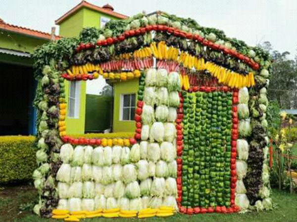 Vegetable Exhibition at Kothagiri Vegetable Exhibition at Kothagiri
