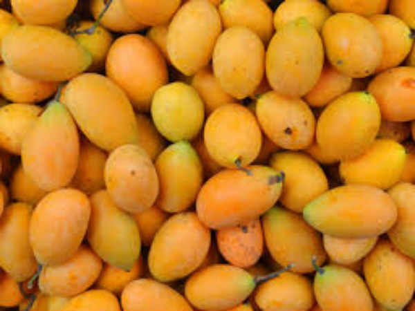 சரி! இந்த மாம்பழத்தை யார் அதிகம் விரும்பி சாப்பிடுவார்கள்?