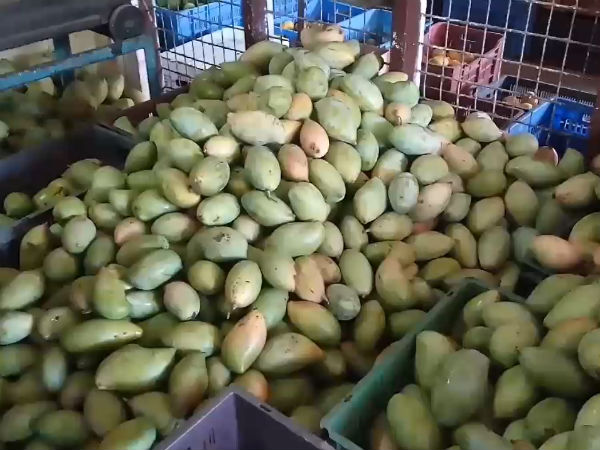 sudden test of food security department officials in kovai ukkadam sudden test of food security department officials in kovai ukkadam