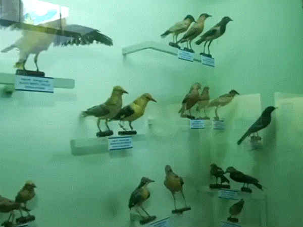 சிதறிக் கிடக்கும் முட்புதர்கள்