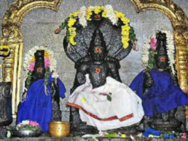 கேதுவின் அமைப்பு