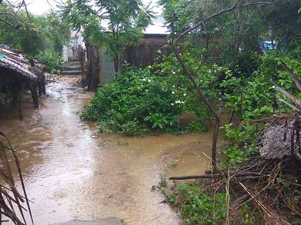 அதிகமாக 35டிகிரி செல்சியஸ்