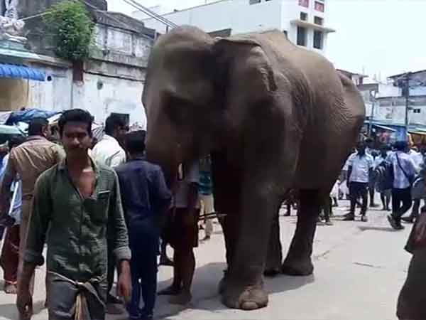 கொட்டகையில் அடைப்பு