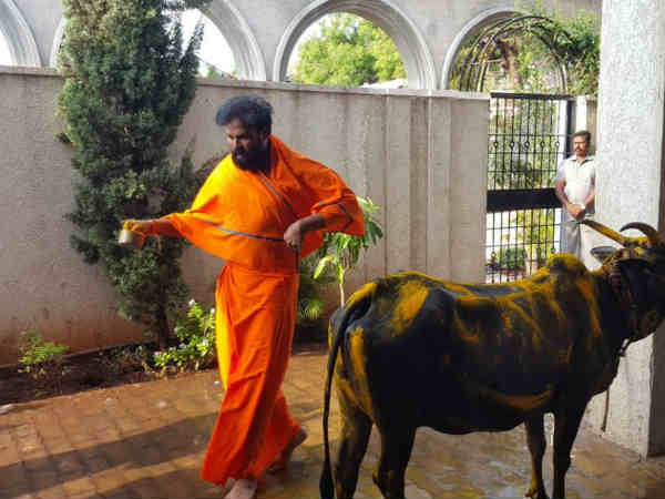 Karnataka Election 2018: B.Sriramalu performed gau pooja Karnataka Election 2018: B.Sriramalu performed gau pooja