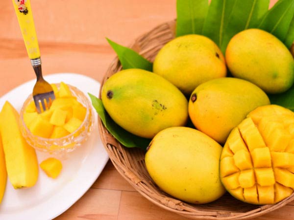 Tredyfoods undertake online Mango booking Tredyfoods undertake online Mango booking