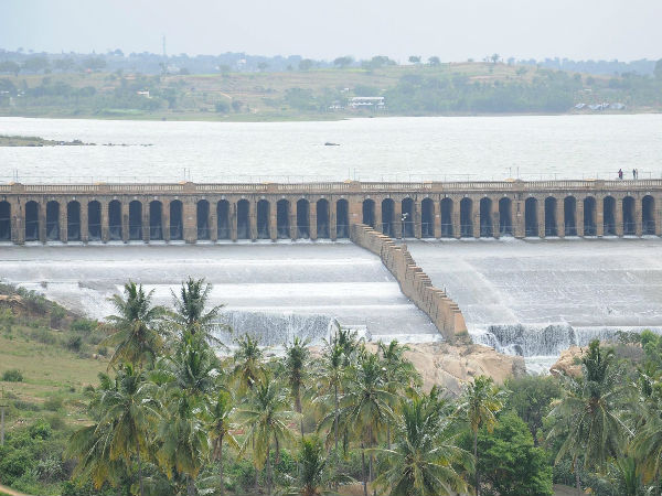 செவிசாய்க்காது