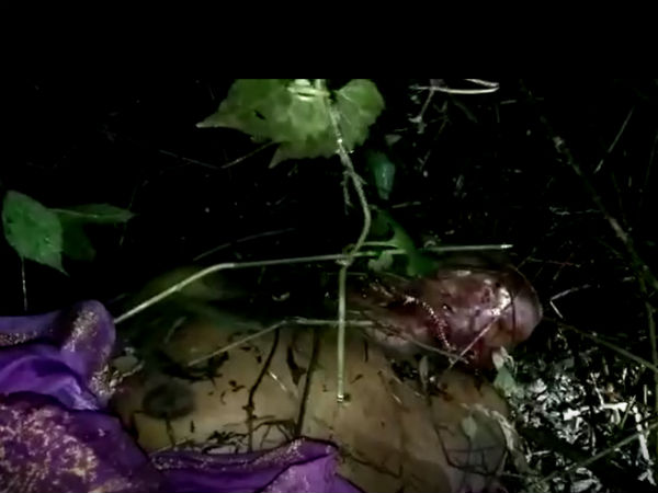 The leopard kills the lady in Valparai The leopard kills the lady in Valparai