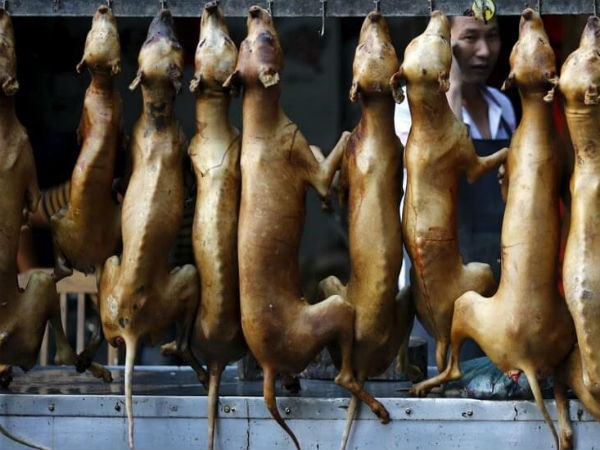 உயிருடன் தீயில் வாட்டப்படும்