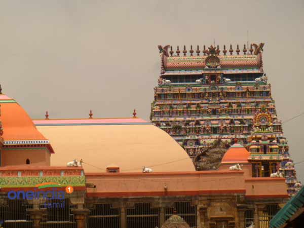 நடராஜருக்கு அபிஷேகம்