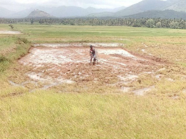 விவசாயிகள் குஷி