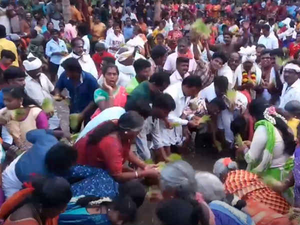 aani natru nadavu ceremony in the kovai temple aani natru nadavu ceremony in the kovai temple