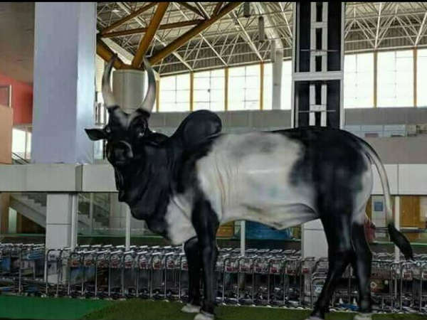 Bullyboy statue is now at Kovai Airport Bullyboy statue is now at Kovai Airport