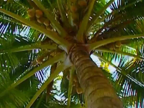 பணம் வரும் காலம்