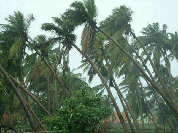 மாநில அரசு