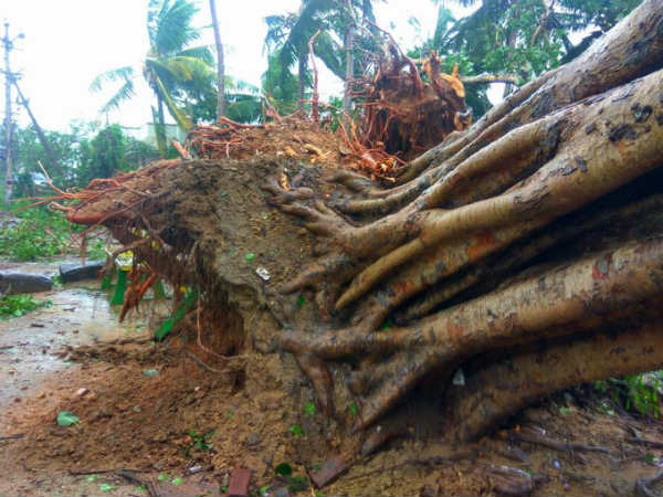 Two people died on the spot near Manaparai Two people died on the spot near Manaparai